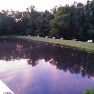 Meet your Posher, Penny